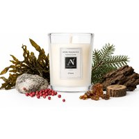 Minimalist Luxe Infame 2 Wick Scented Candle