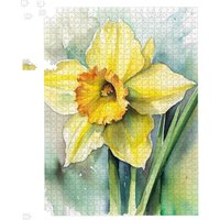 Warren Reed - Designer Watercolour Daffodil Jigsaw Puzzle | Size: 500 Piece