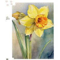 Warren Reed - Designer Daffodil Watercolour Jigsaw Puzzle | Size: 500 Piece