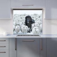 Warren Reed - Designer Lion Amidst the Flock Kitchen Splashback | Size: 900mm x 650mm