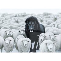 Warren Reed - Designer Lion Amidst The Flock Chopping Board in Black