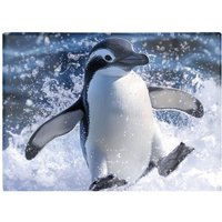 Warren Reed - Designer Joyful Penguin Splashes Chopping Board in Black