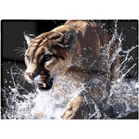 Warren Reed - Designer Puma'S Determined Splash Chopping Board
