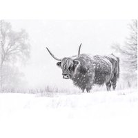 Warren Reed - Designer Snowy Black & White Highland Cow Glass Chopping Board