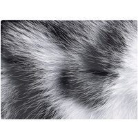 Warren Reed - Designer Silver Tabby Cat Fur Print Chopping Board in Grey