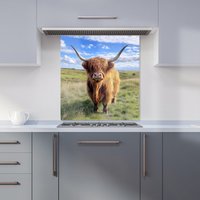 Warren Reed - Designer Highland Cow In Summer Kitchen Splashback | Size: 700mm x 750mm