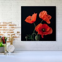 Warren Reed - Designer Poppies Canvas | Size: W16" x H16"