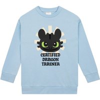 How To Train Your Dragon Girl's Toothless Sweatshirt in Blue | Size: 5-6 Years