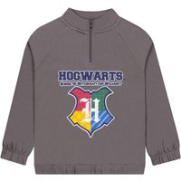 Harry Potter Boy's Hogwarts Zip Sweatshirt in Grey | Size: 10-11 Years