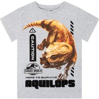 Short Sleeve Dinosaur T Shirt