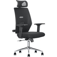 JFY Executive Padded Swivel Office Chair with Lumbar Support in Black