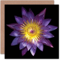 Artery8 Women's Purple Lotus Flower Bloom Photograph For Her Birthday Card