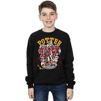 Gryffindor Seeker Sweatshirt