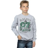 Seeker Draco Malfoy Slytherin Sweatshirt