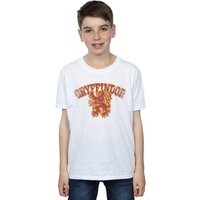 Gryffindor Sport Emblem T Shirt
