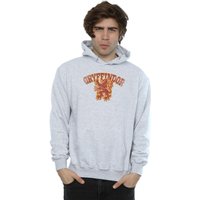 Gryffindor Sport Emblem Hoodie