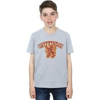 Gryffindor Sport Emblem T Shirt