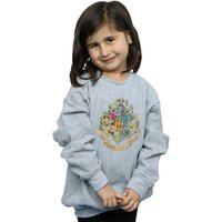 Harry Potter Girl's Hogwarts Houses Cotton Sweatshirt in Grey | Size: 12-13 Years
