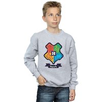 Harry Potter Boy's Hogwarts Crest Sweatshirt in Grey | Size: 9 Years