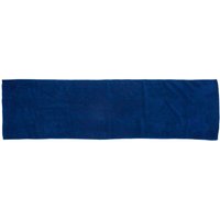 Towel City Microfibre Sports Towel in Royal