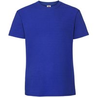 Iconic 195 Ringspun Premium T Shirt