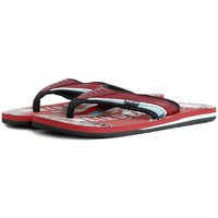 Lexington Printed Flip Flops
