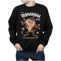 Tasmanian Devil Vintage Sweatshirt