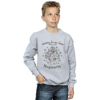 Harry Potter Boy's Hogwarts Waiting For My Letter Sweatshirt in Grey | Size: 9 Years