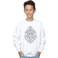 Harry Potter Boy's Hogwarts Draco Dormiens Crest Sweatshirt in White | Size: 12-13 Years