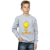 Looney Tunes Boy's Angry Tweety Sweatshirt in Grey | Size: 9 Years