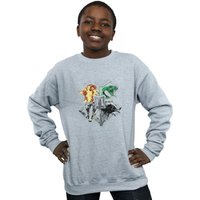 Harry Potter Boy's Hogwarts Painted Crest Sweatshirt in Grey | Size: 9 Years