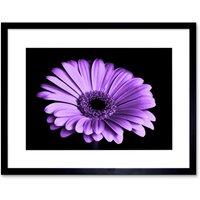Artery8 Wall Art Print Close-up Purple Flower Framed in Black | Size: W7" x H9"