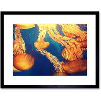 Artery8 Wall Art Print Jellyfish Group Underwater Ocean Framed in Black | Size: W7" x H9"