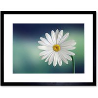 Artery8 Wall Art Print White Flower Petals Daisy Framed in Black | Size: W7" x H9"