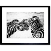 Artery8 Wall Art Print Cute Zebra Couple Framed in Black | Size: W7" x H9"