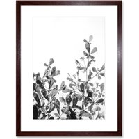 Artery8 Wall Art Print Black White Photography Plant Framed in Brown | Size: W7" x H9"