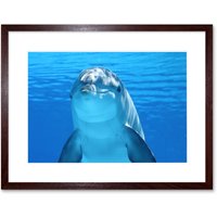 Artery8 Wall Art Print Bottlenose Dolphin Smiling Framed in Brown | Size: W7" x H9"