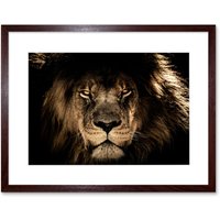 Artery8 Wall Art Print Male African Lion Face Cat Framed in Brown | Size: W7" x H9"