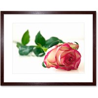 Artery8 Wall Art Print Single Pink Rose Romantic Flower Framed in Brown | Size: W7" x H9"