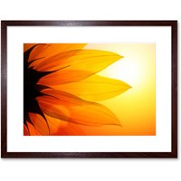 Artery8 Wall Art Print Sunflower Petals Close Up Framed in Brown | Size: W7" x H9"