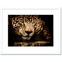 Artery8 Wall Art Print Jaguar Head Big Cat Framed in White | Size: W7" x H9"