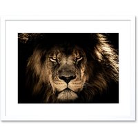Artery8 Wall Art Print Male African Lion Face Cat Framed in White | Size: W7" x H9"