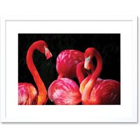 Artery8 Wall Art Print Pink Flamingo Bird Group Framed in White | Size: W7" x H9"