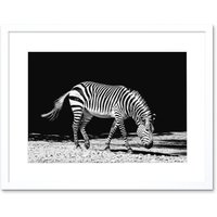 Artery8 Wall Art Print Lone Zebra BW Framed in White | Size: W7" x H9"