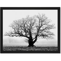Artery8 Wall Art Print Old Oak Tree Black White Mist Fog Photo Art Large Framed Wall Décor Art | Size: W18" x H24"