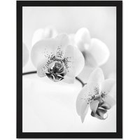 Artery8 Wall Art Print Orchid Flower Black White Photo Art Large Framed Wall Décor Art in Light Oak | Size: W18" x H24"