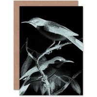 Artery8 Birds Night Greetings Card in Black