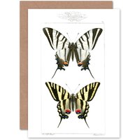 Artery8 Butterflies Tiger Greetings Card in White
