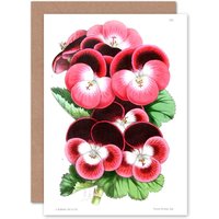 Artery8 Flower Pansy Pink Greetings Card