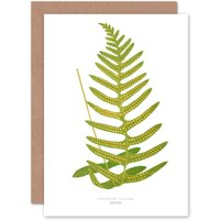Artery8 Wildflower Bontanical Fern Polypodium Vulgare Greetings Card in Green